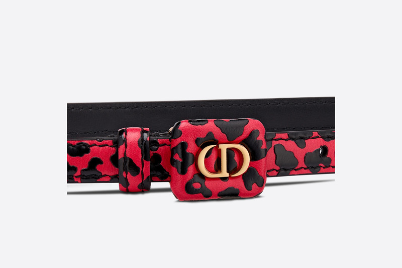Dior Dior Bobby Belt outlook