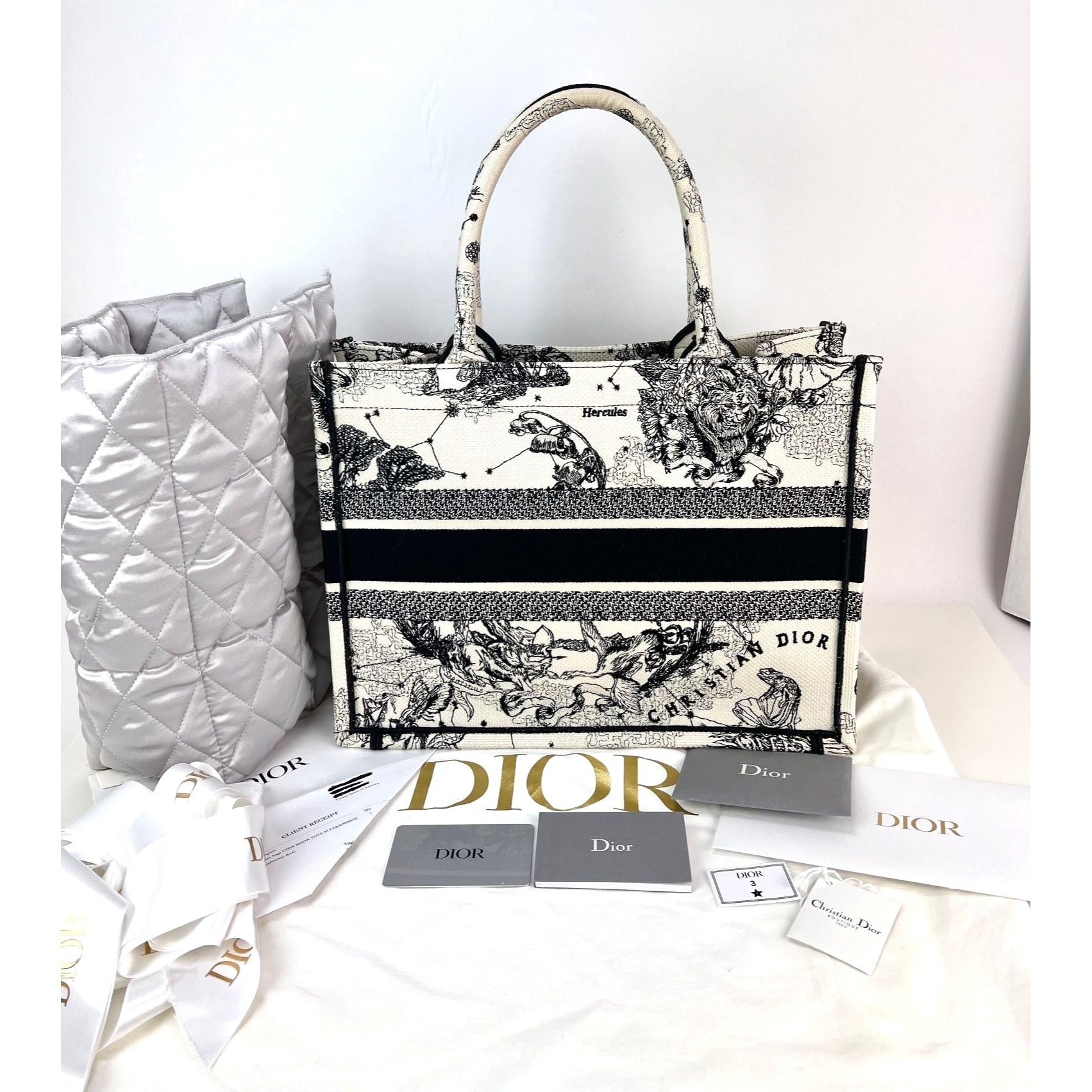 Christian Dior Book Embroidered Canvas Medium Stars and Signs Black Tote - 2