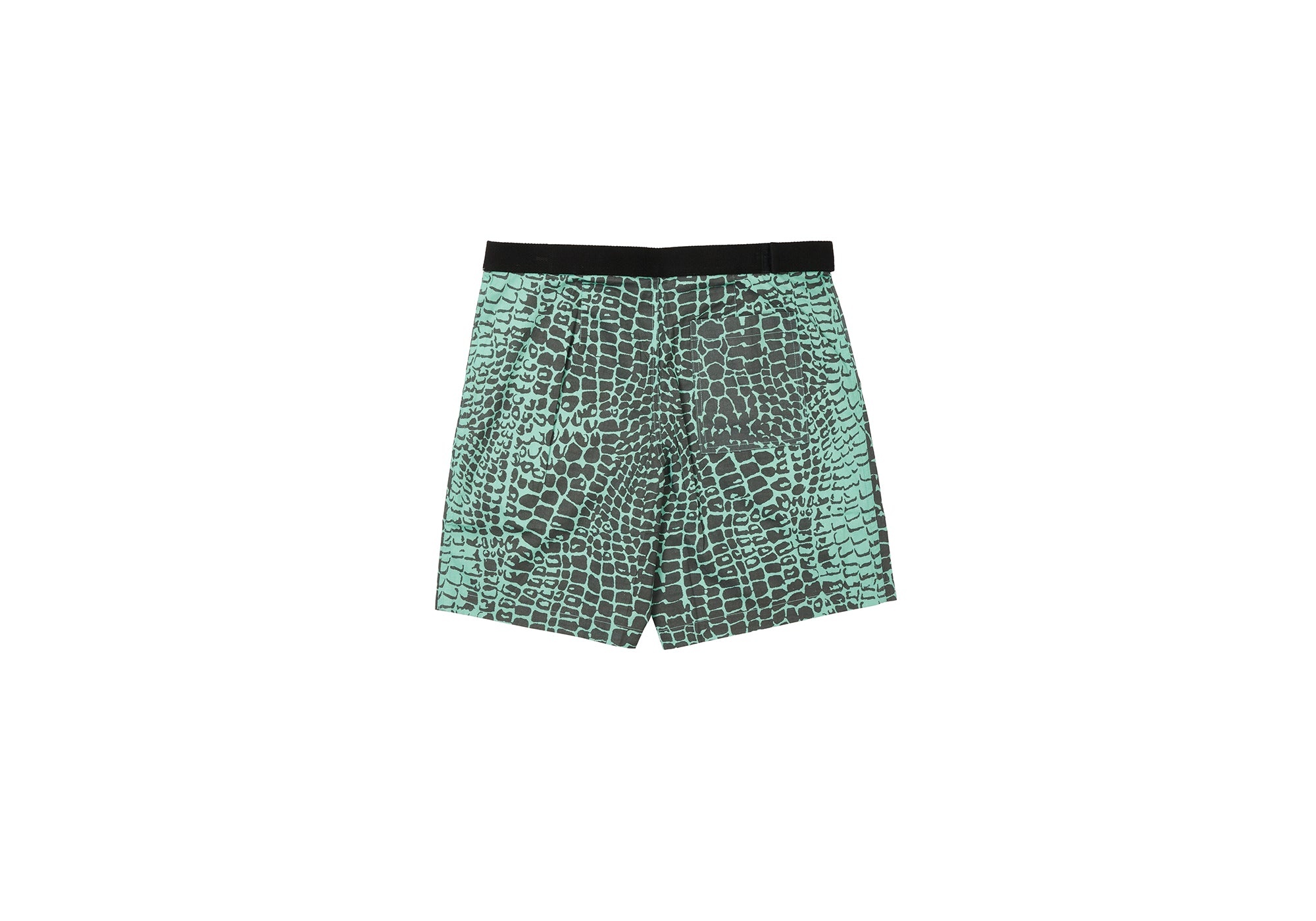 PALACE JIMMY'Z BEACH SHORT MINT - 3