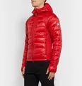 HyBridge Lite Slim-Fit Quilted Feather-Light 10D and Tensile-Tech Hooded Down Jacket - 10