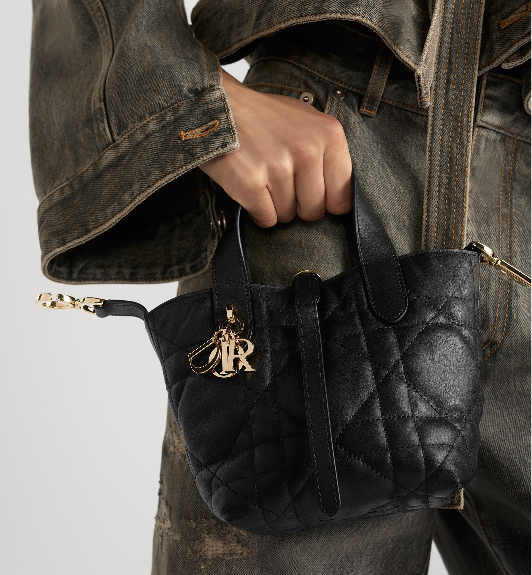 Dior Toujours Vertical Nano Tote Bag - 6