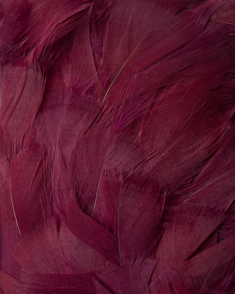 Patent leather and feather hat 3