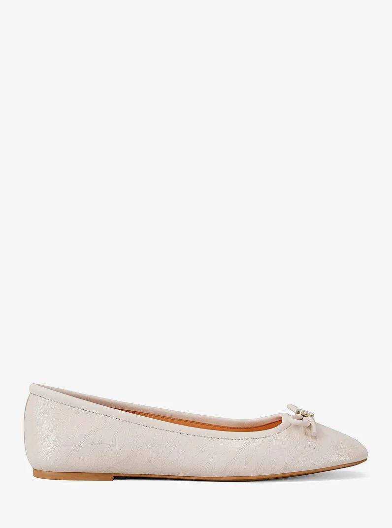 Savannah Ballet Flat - 1