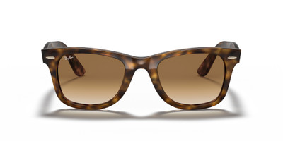 Ray-Ban WAYFARER EASE outlook