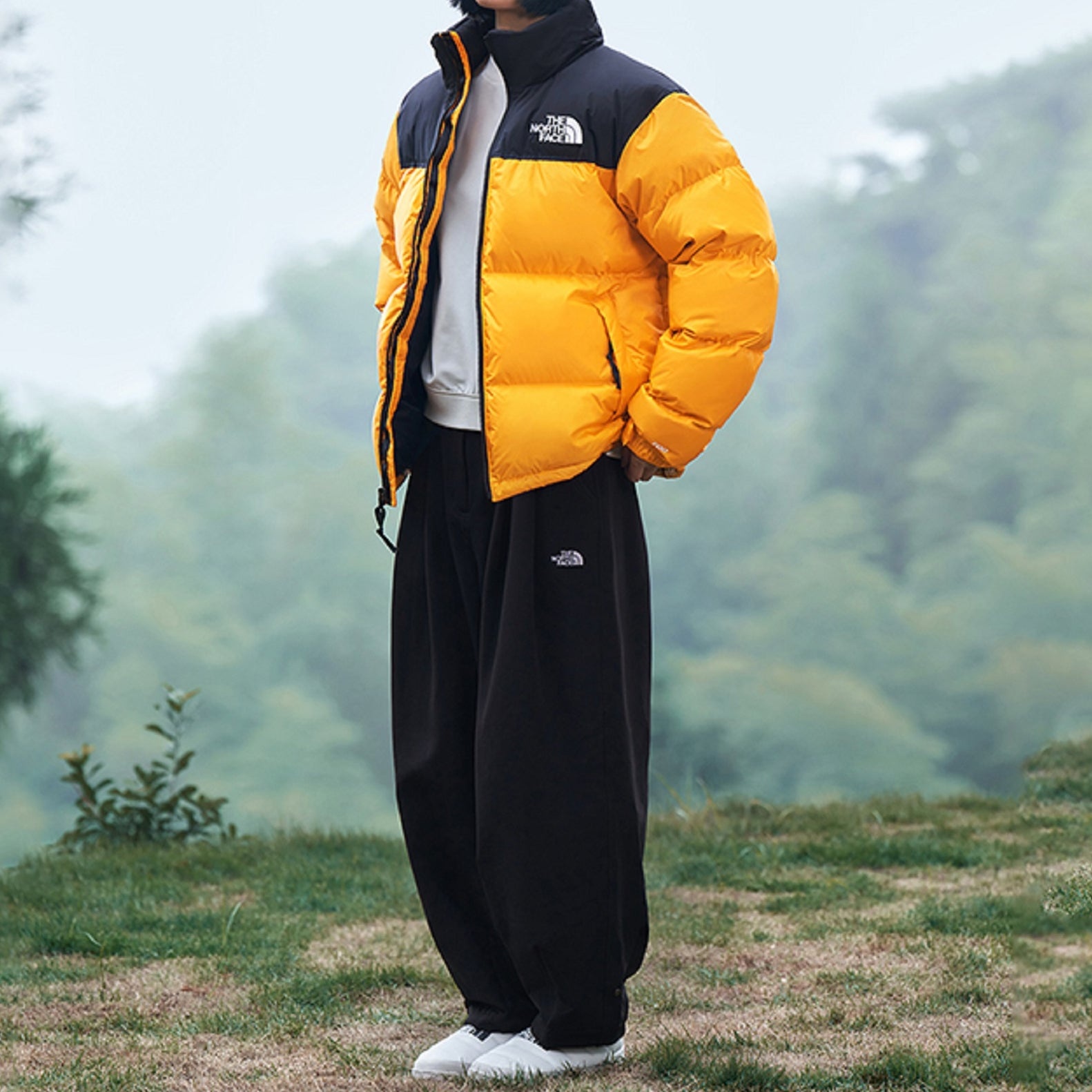 THE NORTH FACE 1996 Nuptse Jacket 700 NF0A3C8D-78M - 3