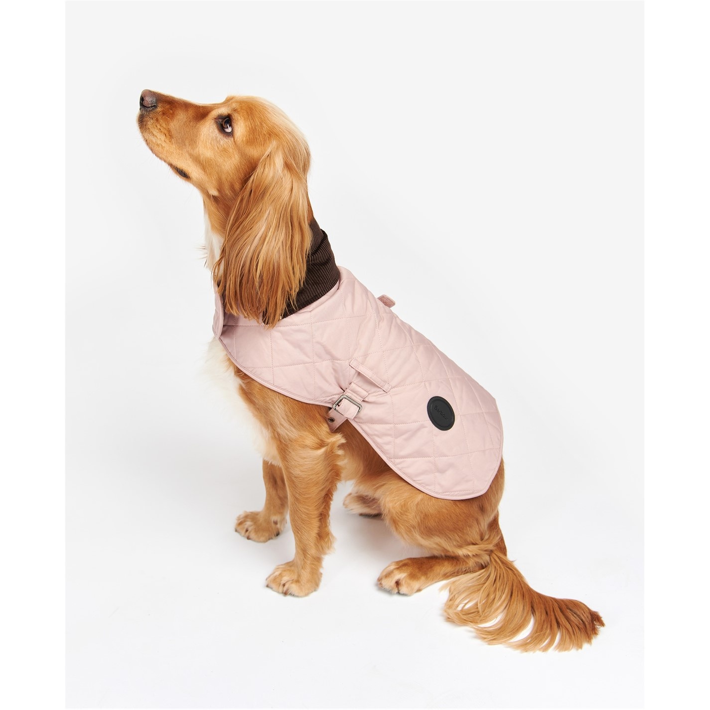 QUILTED DOG COAT - 3