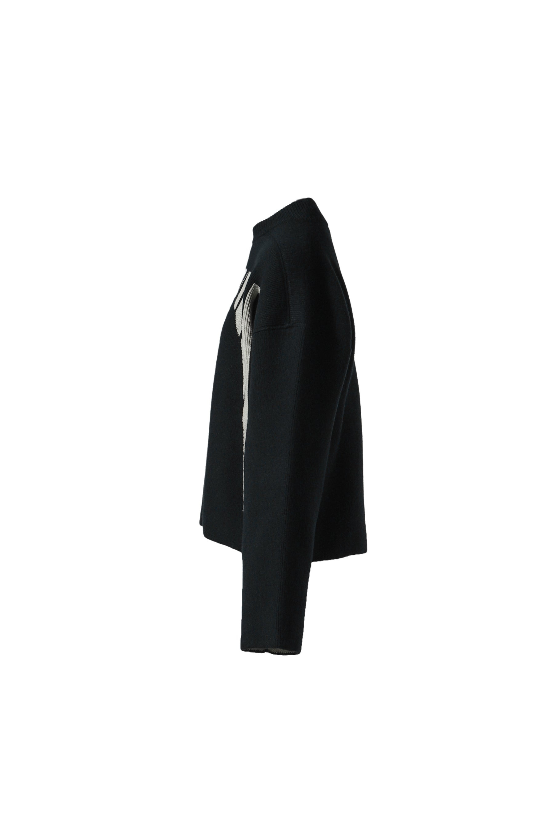 JUMBO CREWNECK / BLK PEARL - 3