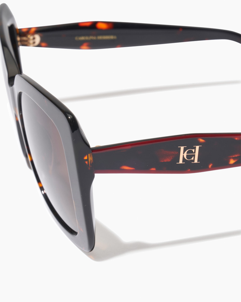 Oversized Sunglasses With Contrast Temples 4
