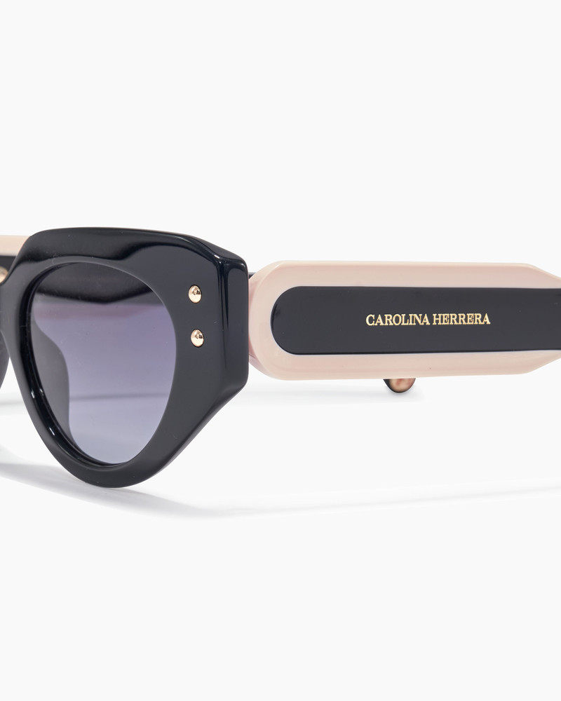 Oval Frame Sunglasses With Contrast Temples 3