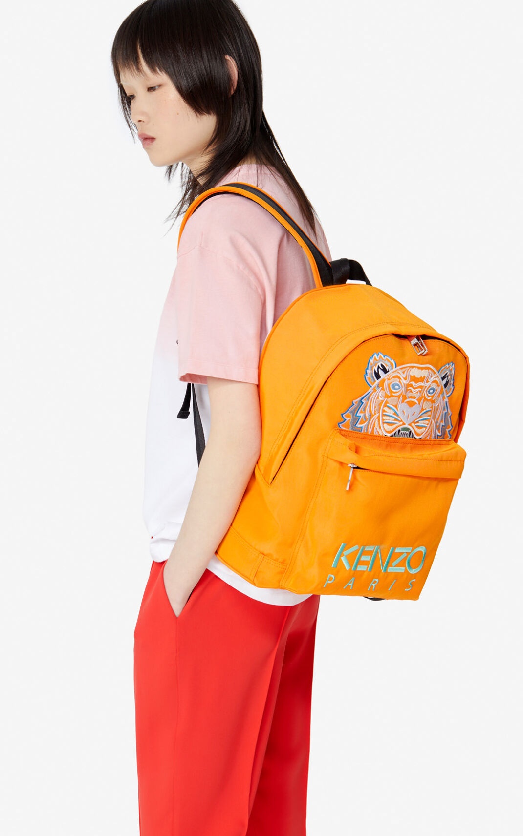 Large Tiger Canvas backpack - 6