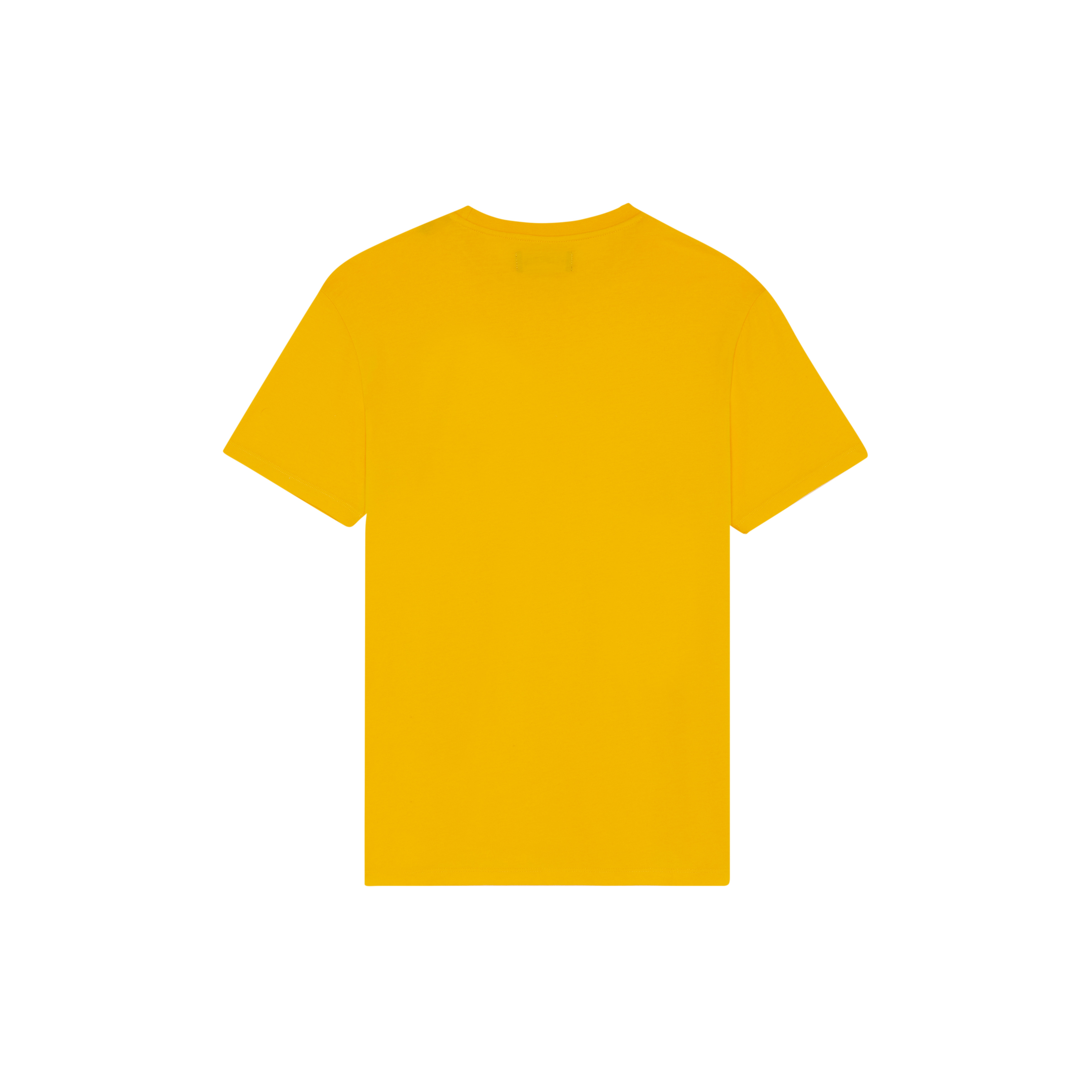 Men Organic Cotton T-shirt Embroidered Turtle - 2