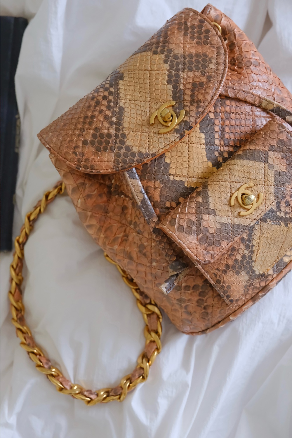 Chanel Snake Skin Duma Backpack - 2