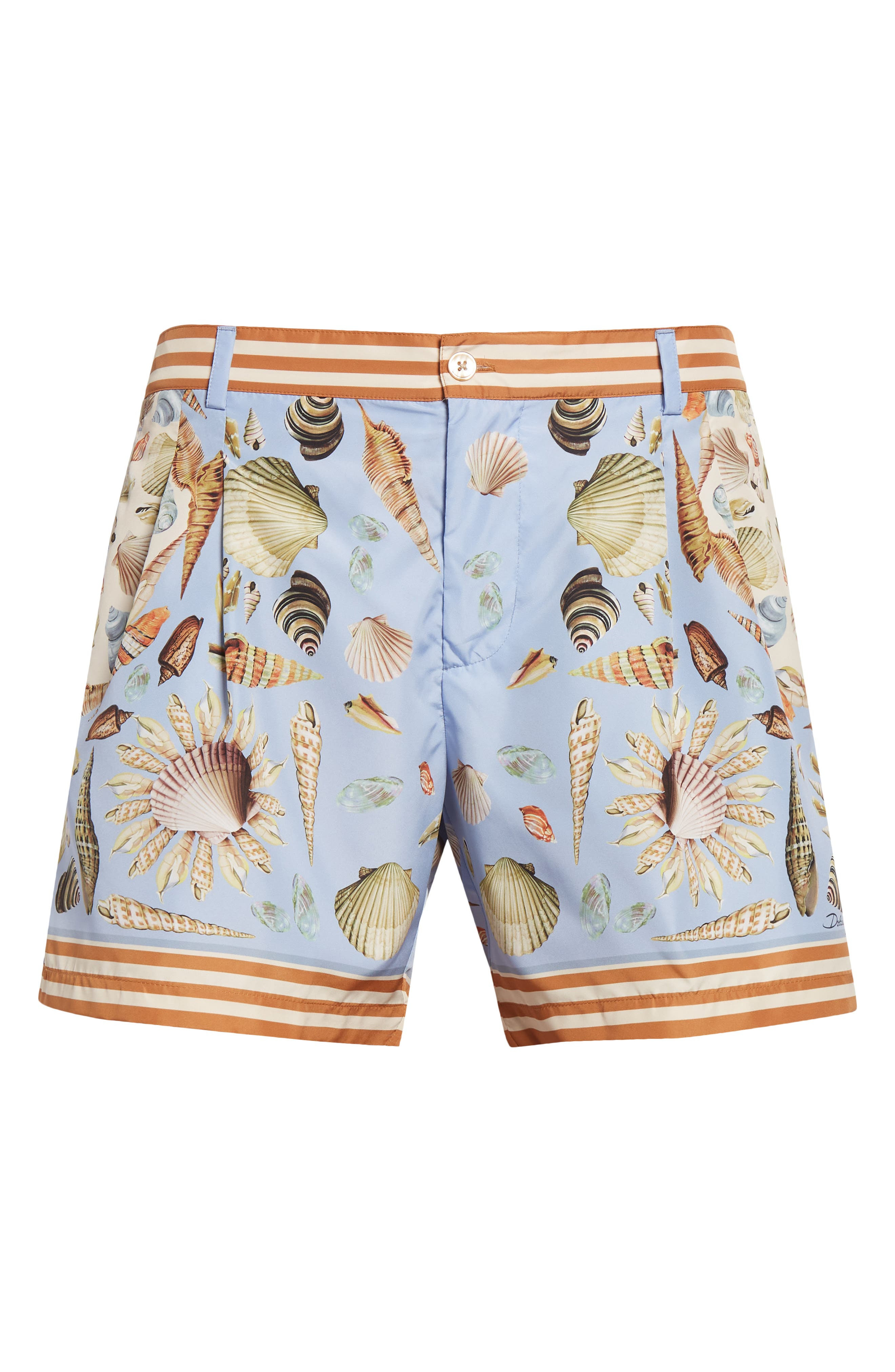 Dolce&Gabbana Shell Print Swim Trunks in Hc5Pk Conchiglie F.celeste at Nordstrom - 6