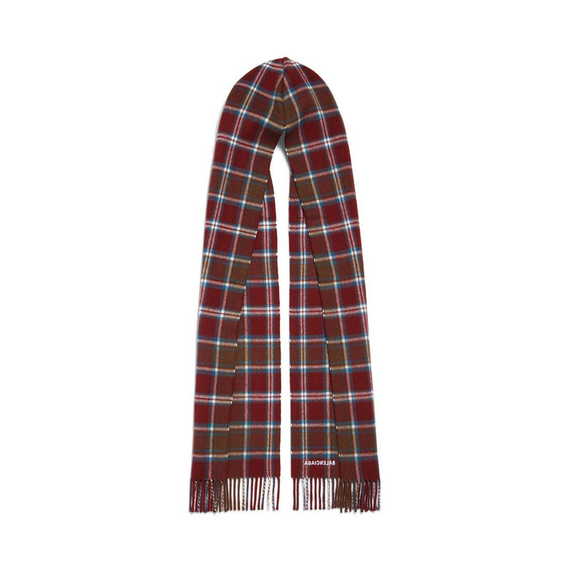 BALENCIAGA Men's Hooded Scarf in Burgundy outlook