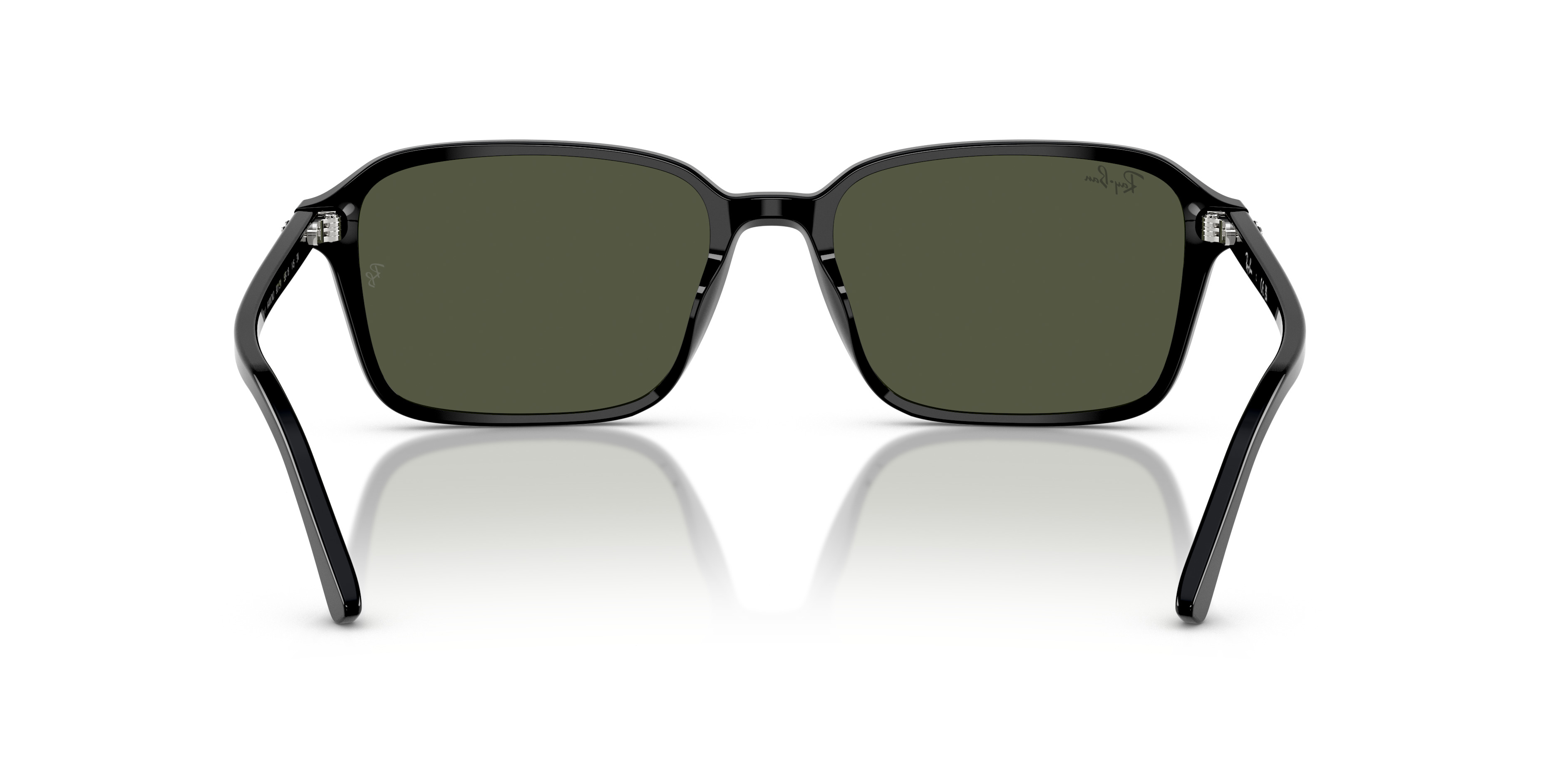 RB2231F Raimond - 4