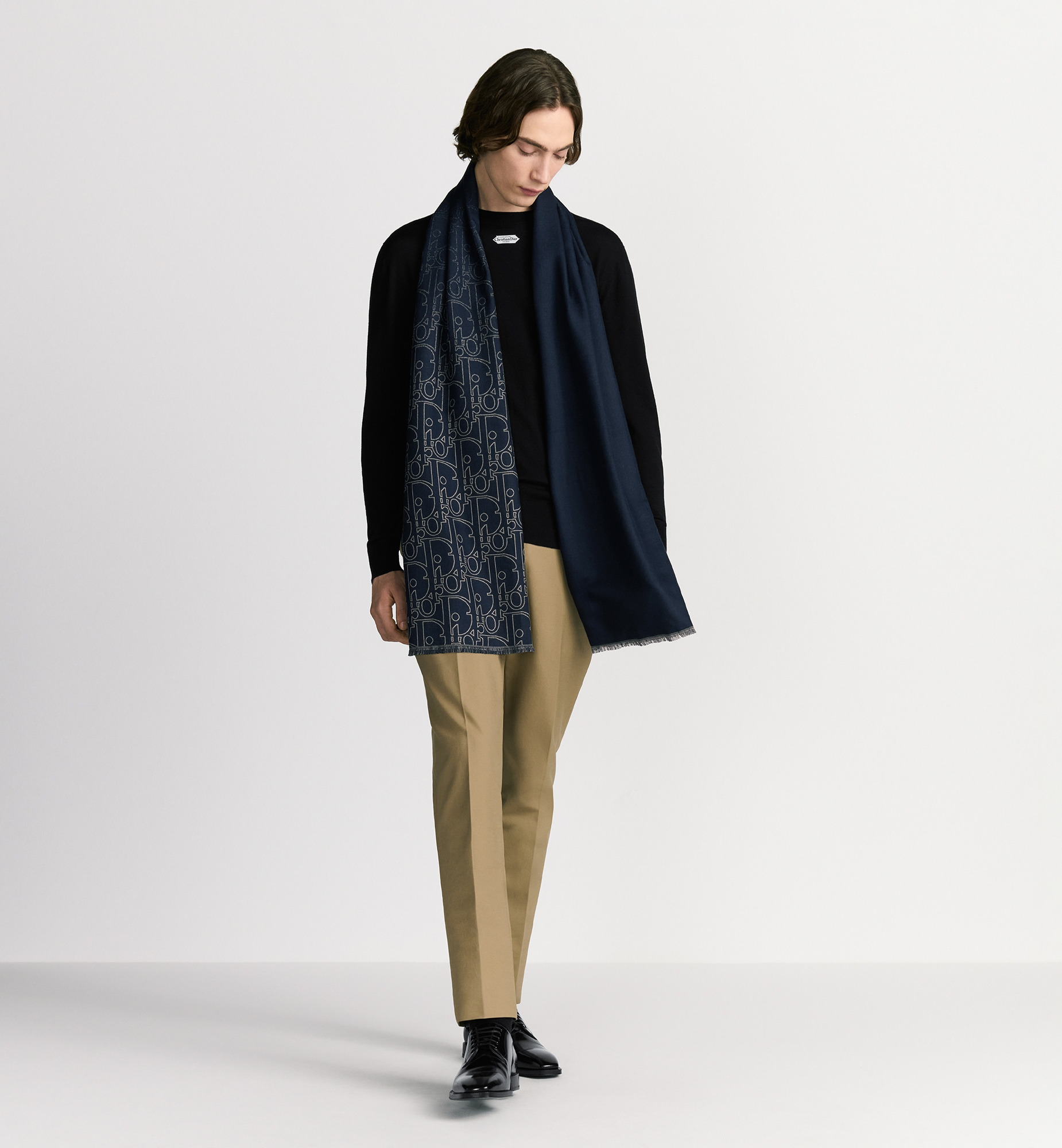 Gradient Dior Gravity Scarf - 2