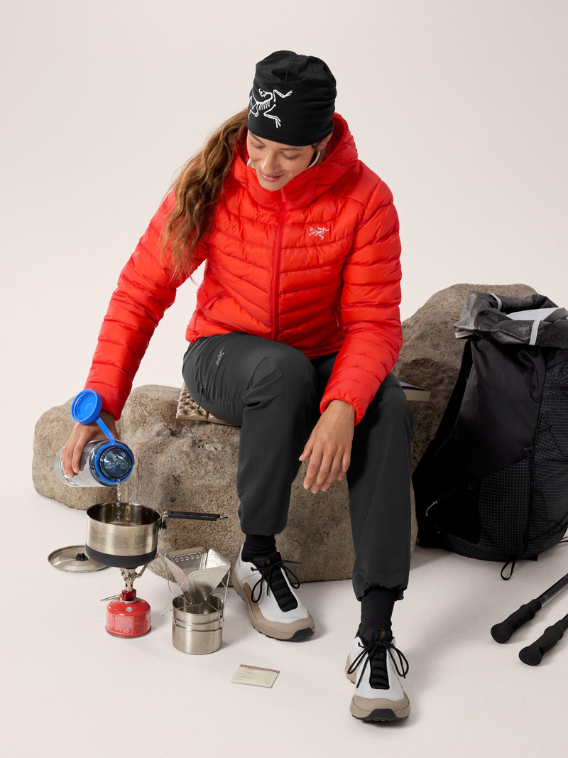Arc'teryx Cerium Hoody outlook