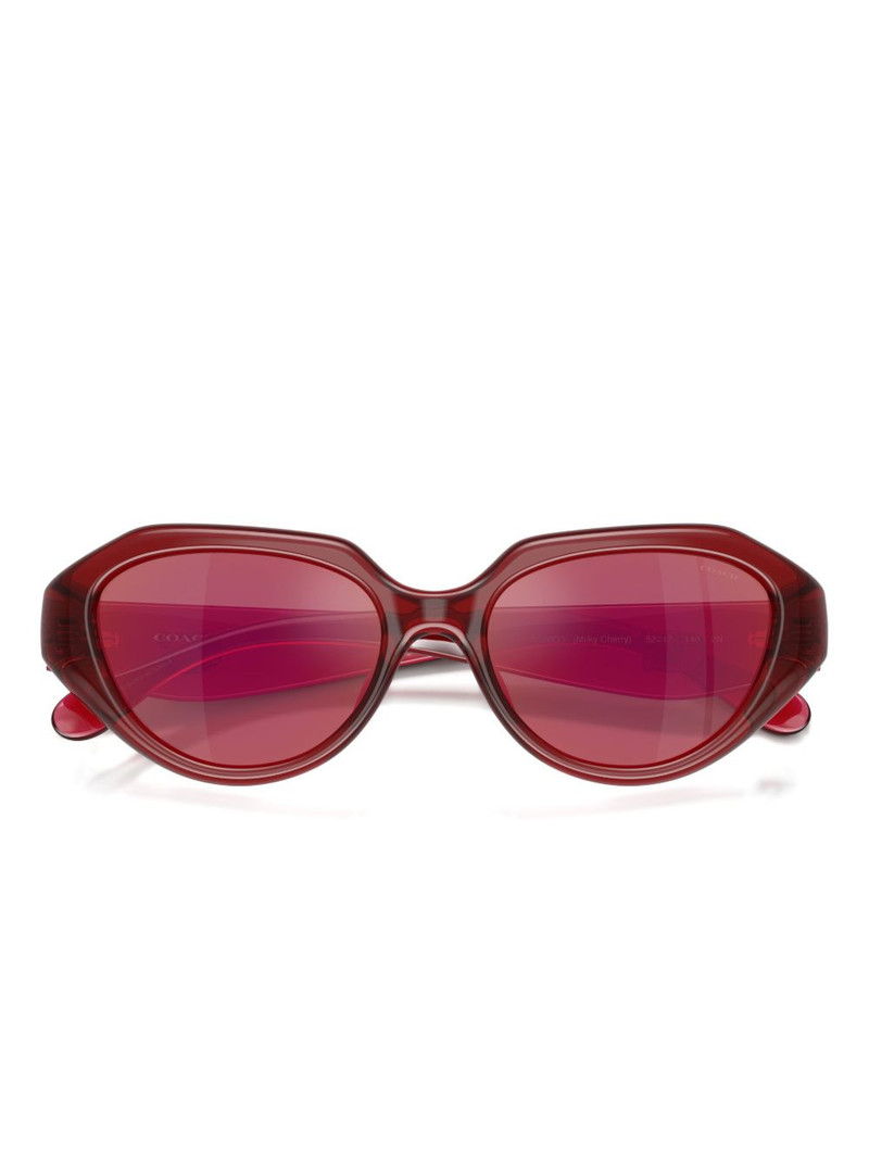 cat-eye sunglasses 5
