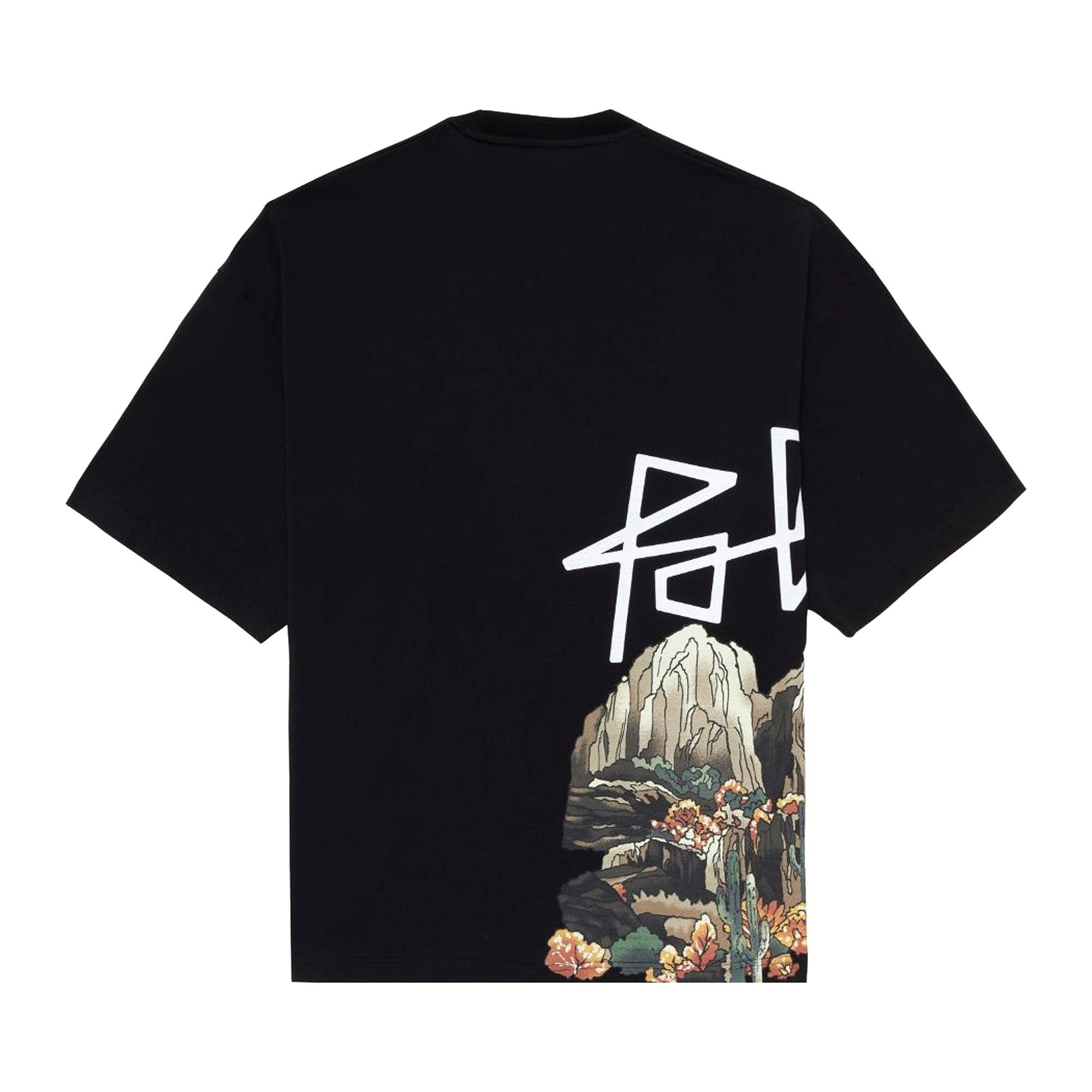 Palm Angels Desert Skull Over Tee 'Black/Multicolor' - 2