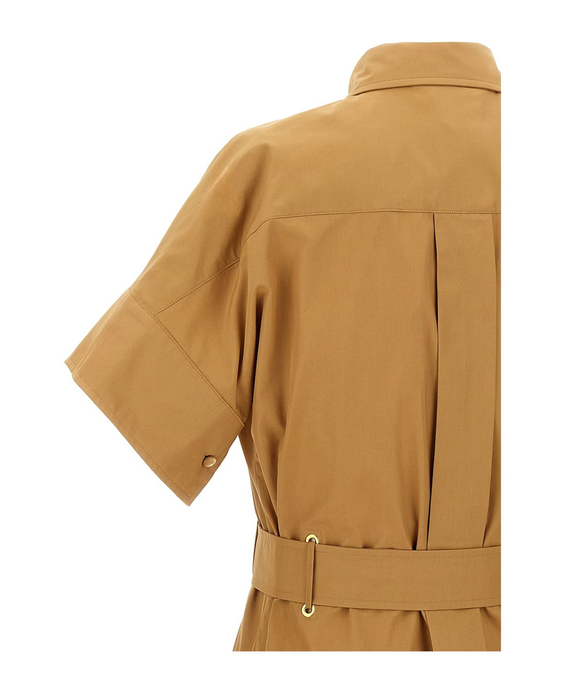 Max Mara 'agoario' Dress outlook