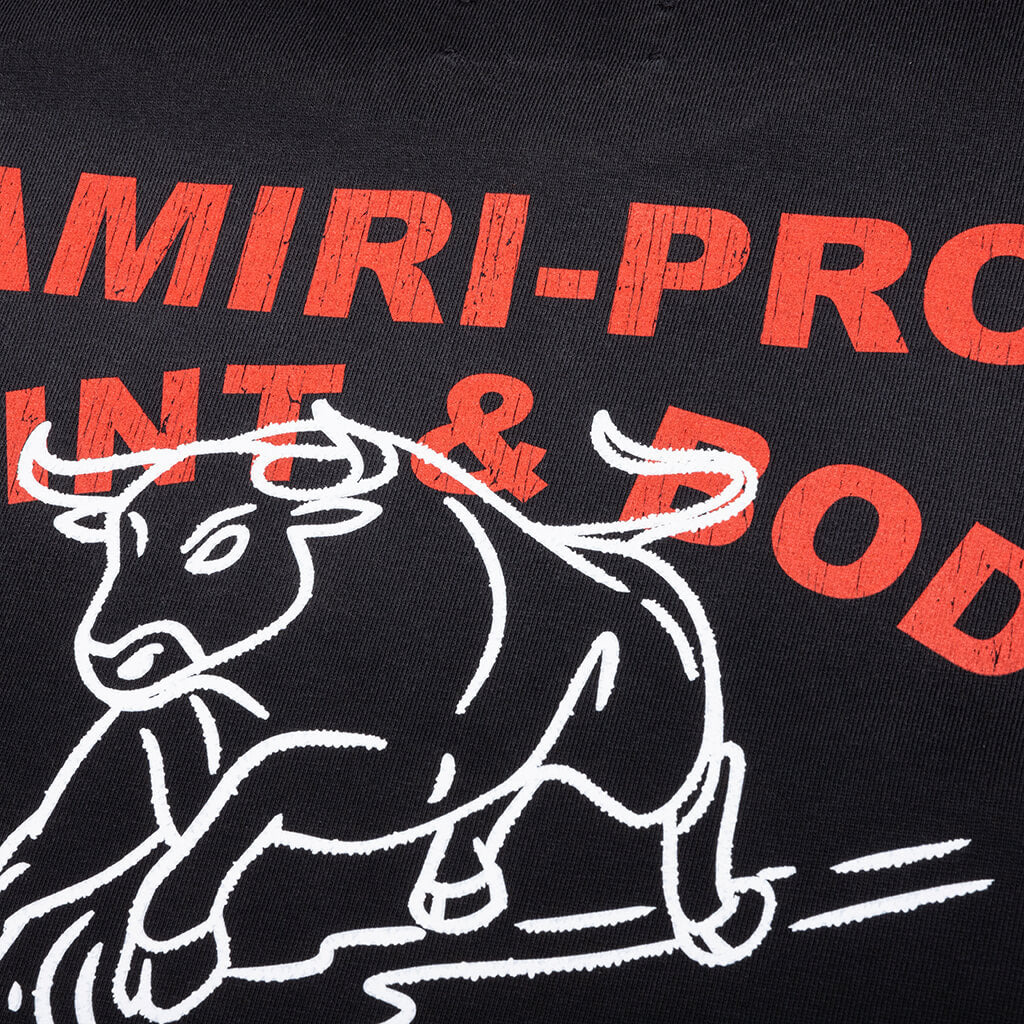 AMIRI BULL OVERSIZED TEE - BLACK - 4