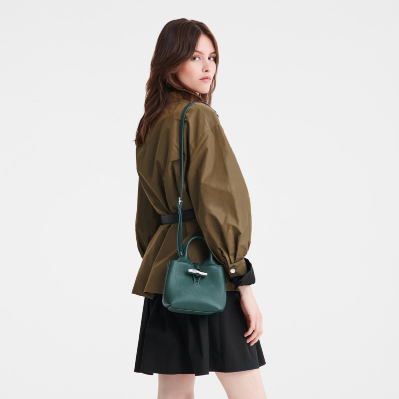 Longchamp Le Roseau XS Handbag Cedar - Leather outlook