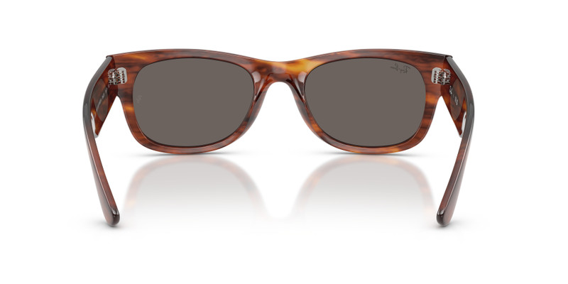 MEGA WAYFARER II 6