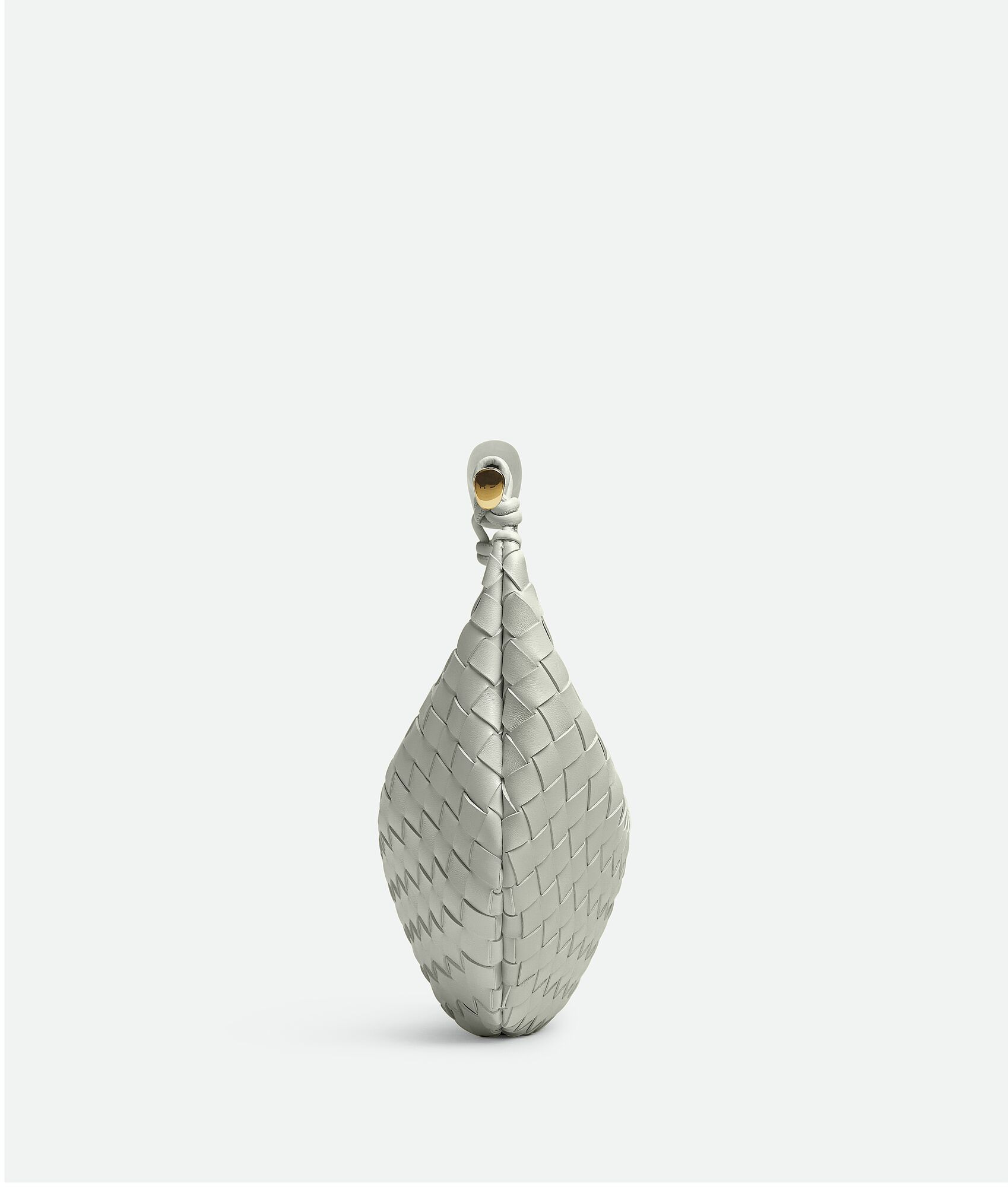 Sardine - 2