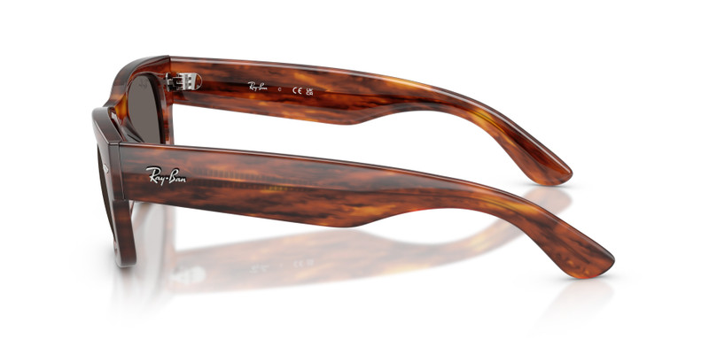MEGA WAYFARER II 5