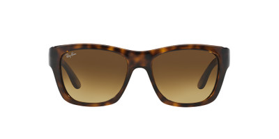 Ray-Ban RB4194 outlook