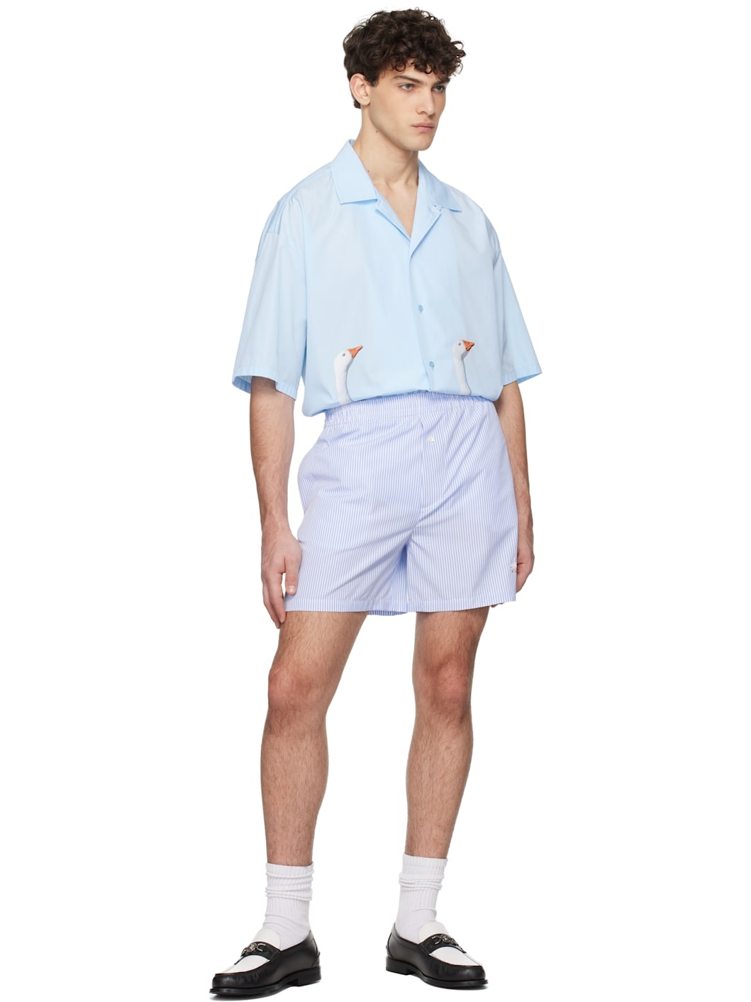 Blue & White Goose Embroidery Striped Poplin Shorts - 4