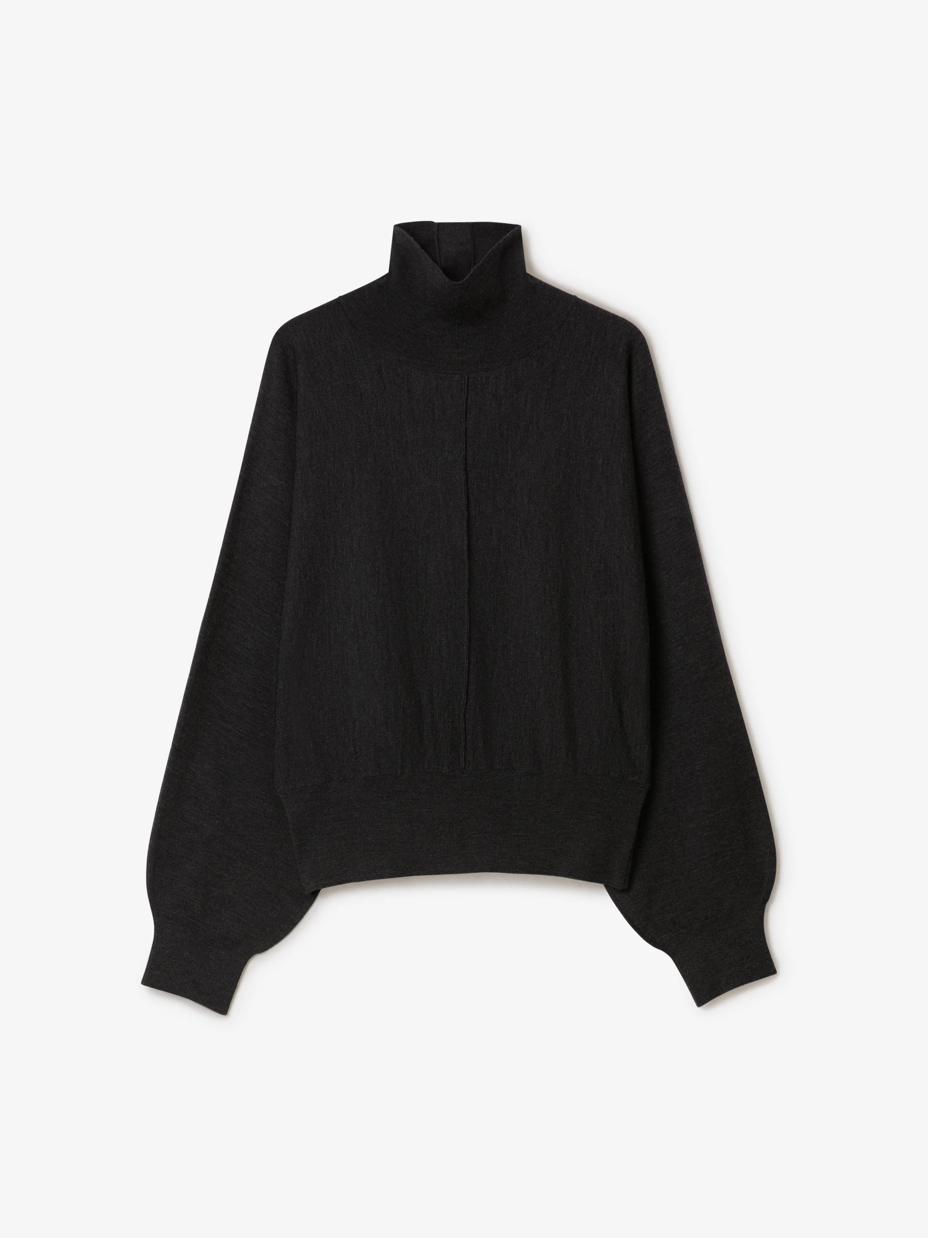 Merino Turtleneck - 1