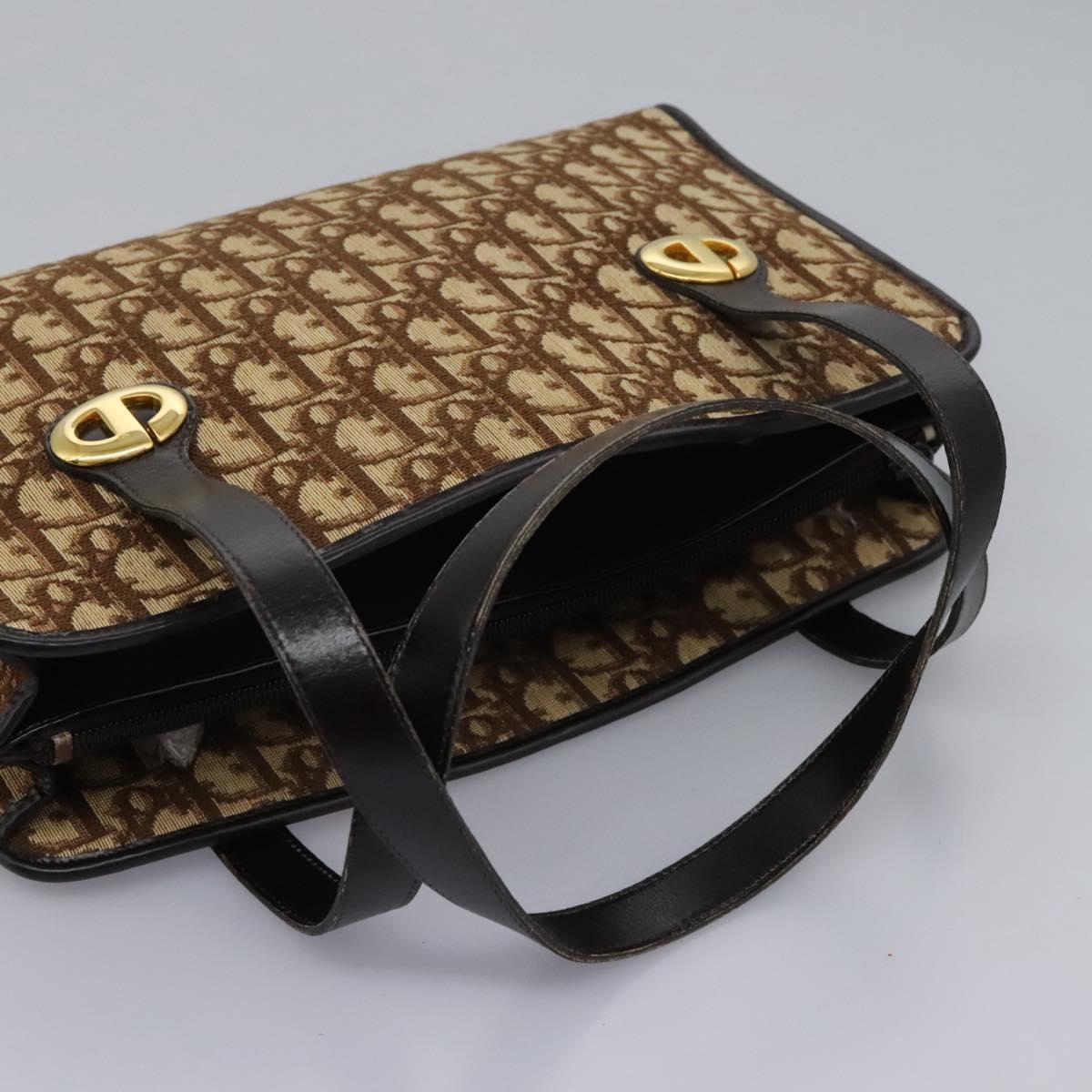 DIOR Trotter Canvas Hand Bag Brown - 7