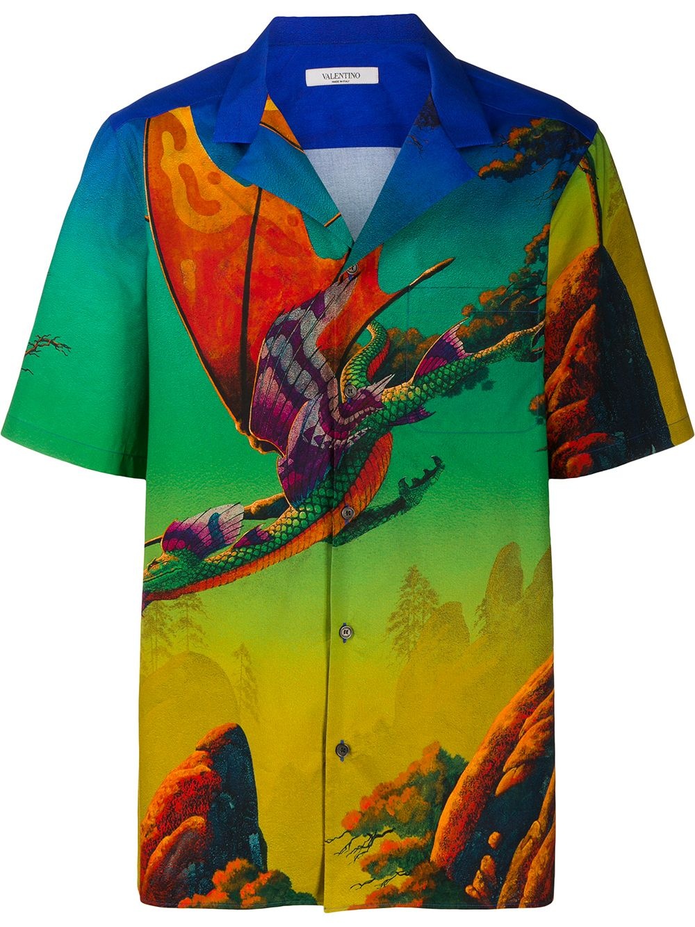 Dragons garden print shirt - 1