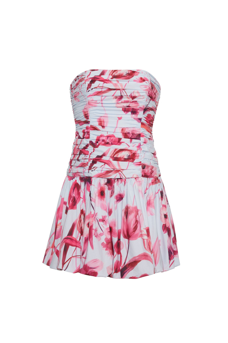 Montreal Mini Dress 1