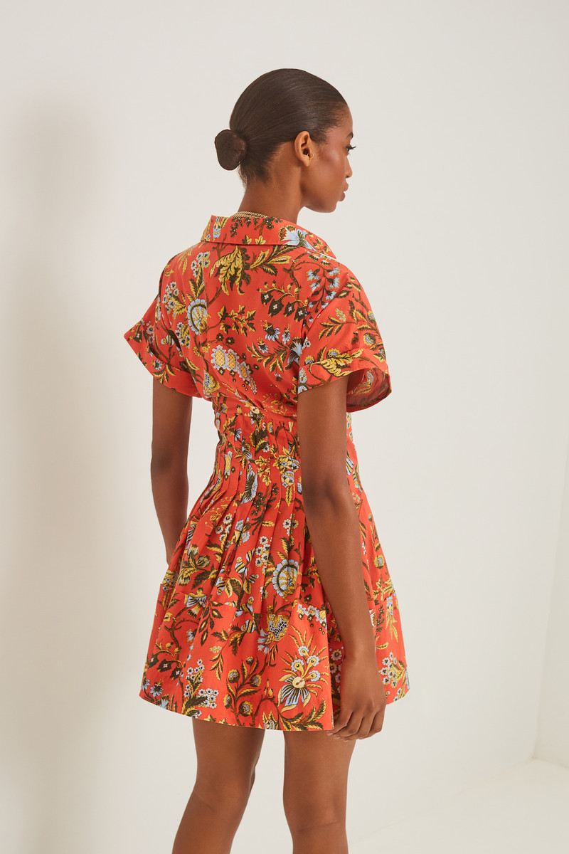 Nash Mini Dress 3