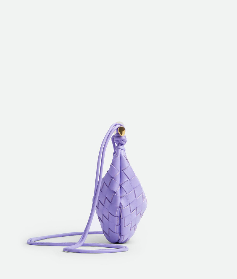 Bottega Veneta Mini Sardine outlook