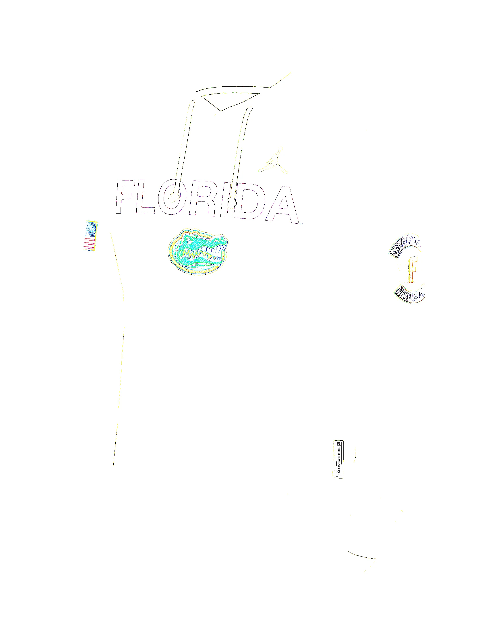 Florida 2025 Military Appreciation Men's Jordan Brand Dri-FIT College Pullover Hoodie - 1