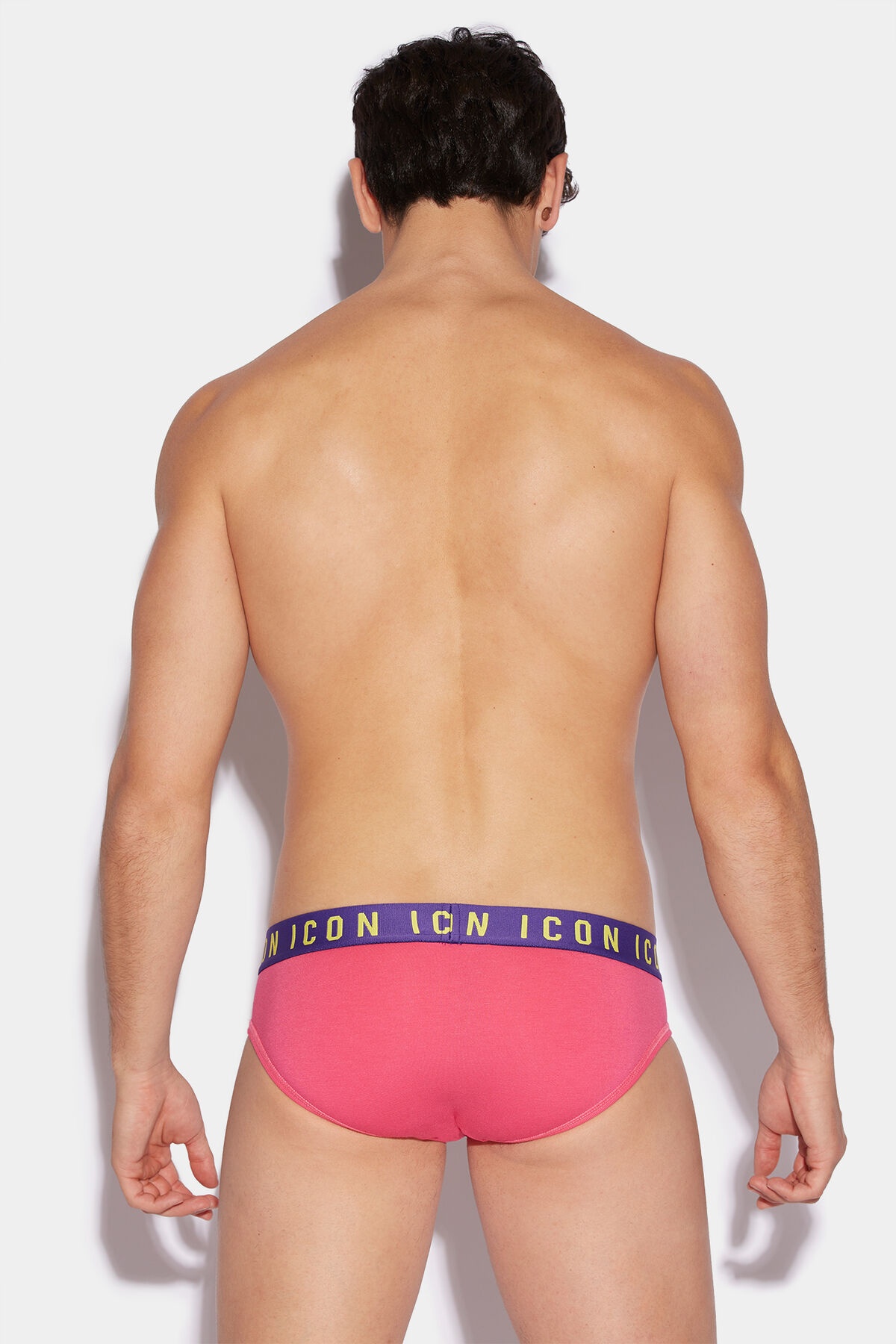 ICON TECHNICOLOUR BRIEF - 2