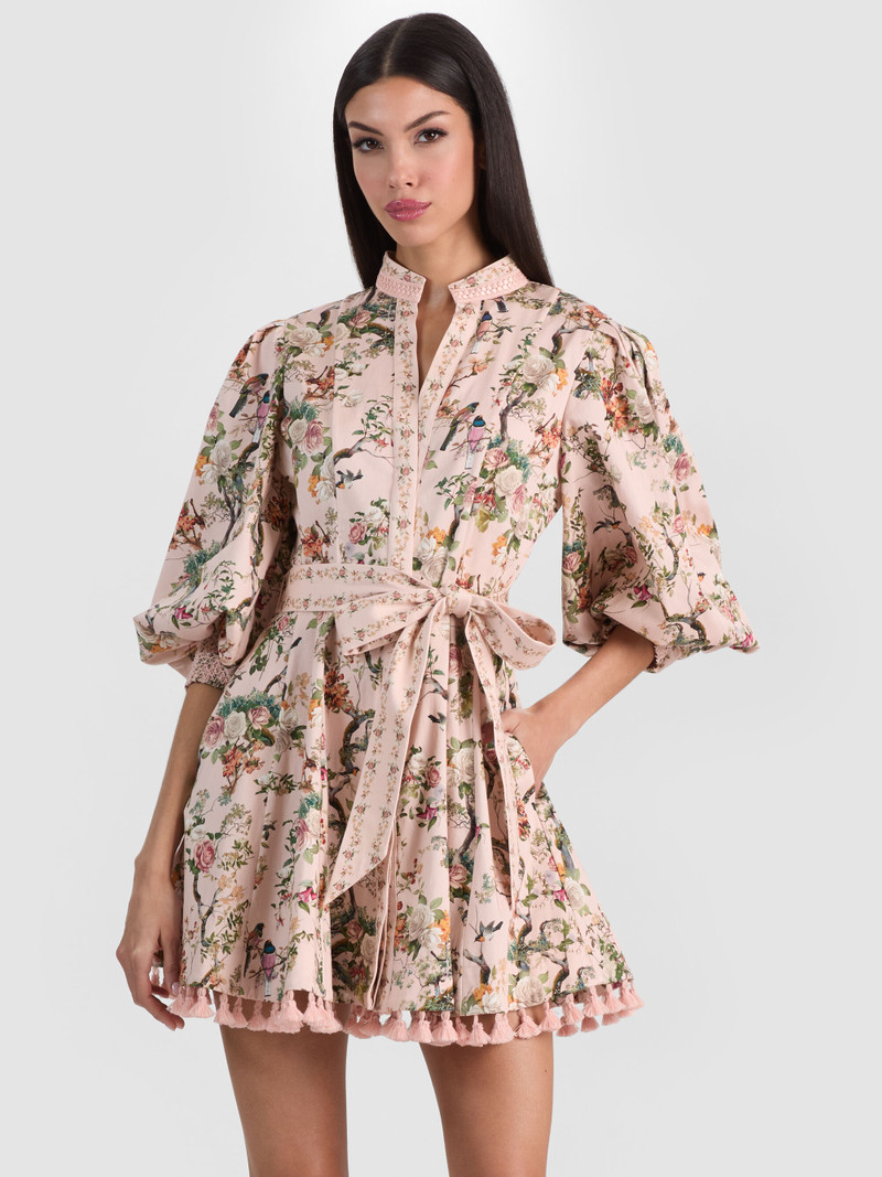 LUCY MINI SHIRT DRESS 6