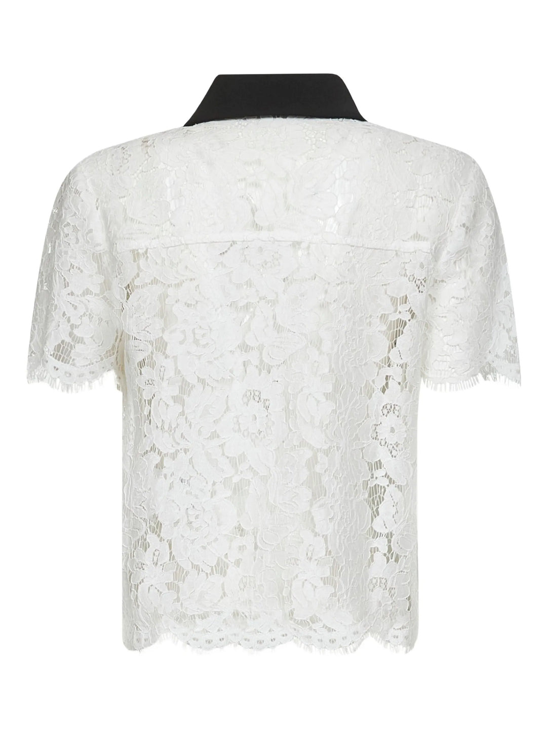 White Lace Contrast Collar Top - 2