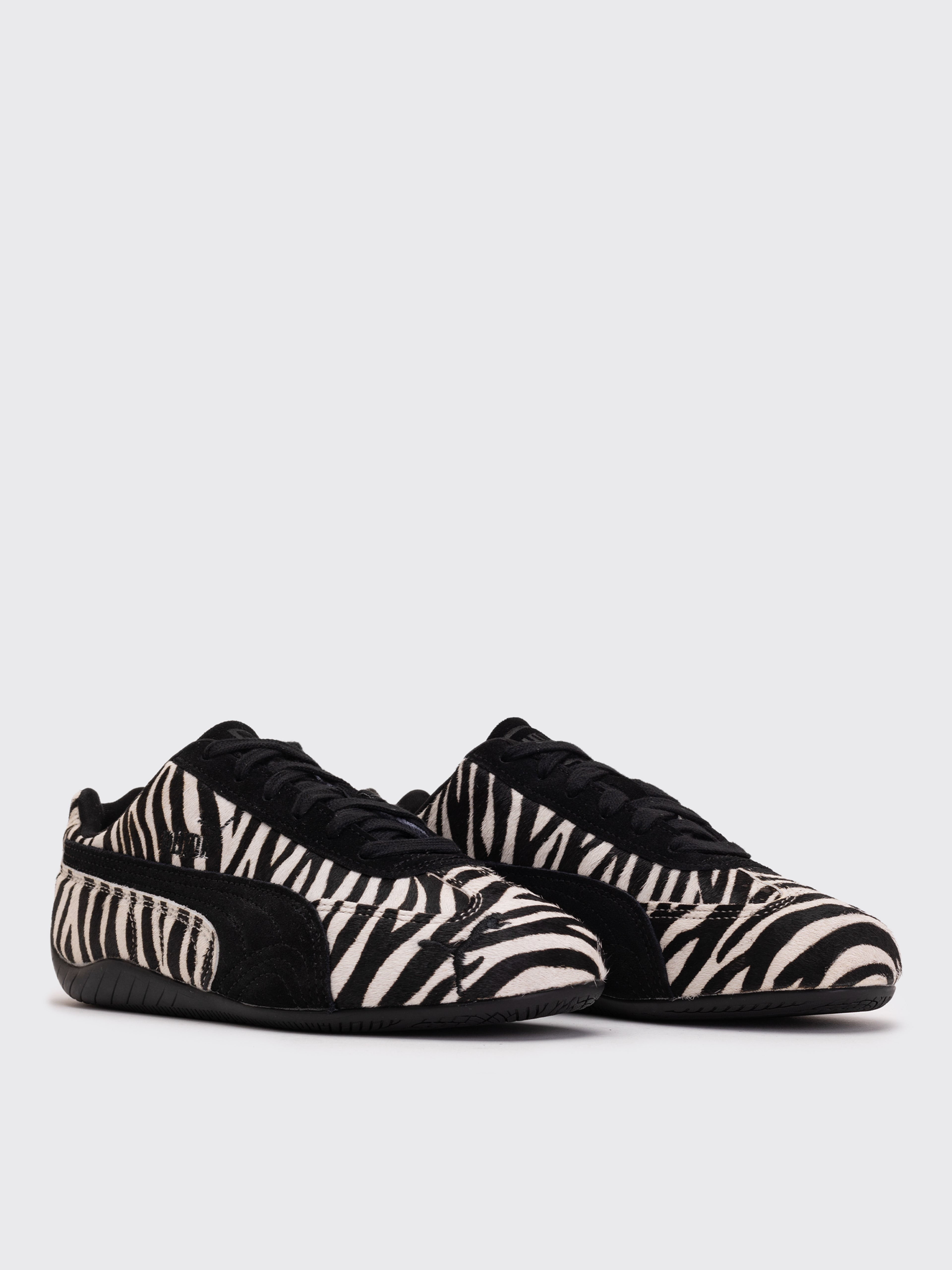 W Speedcat Zebra - 2