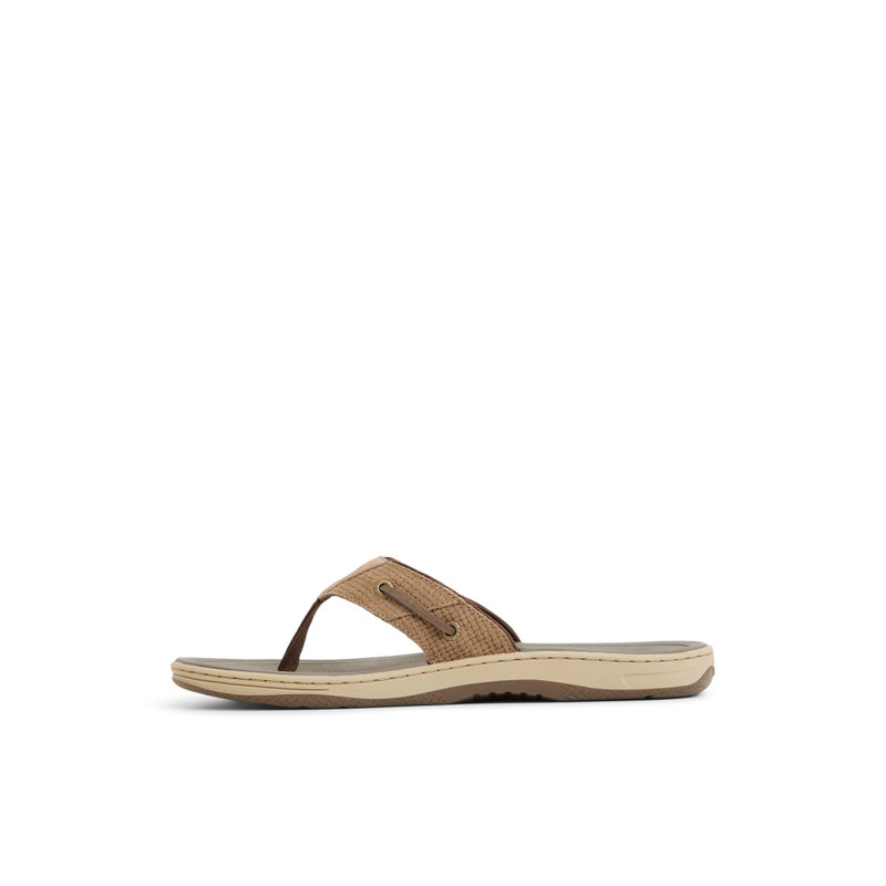SPERRY Baitfish Thong Sandals outlook