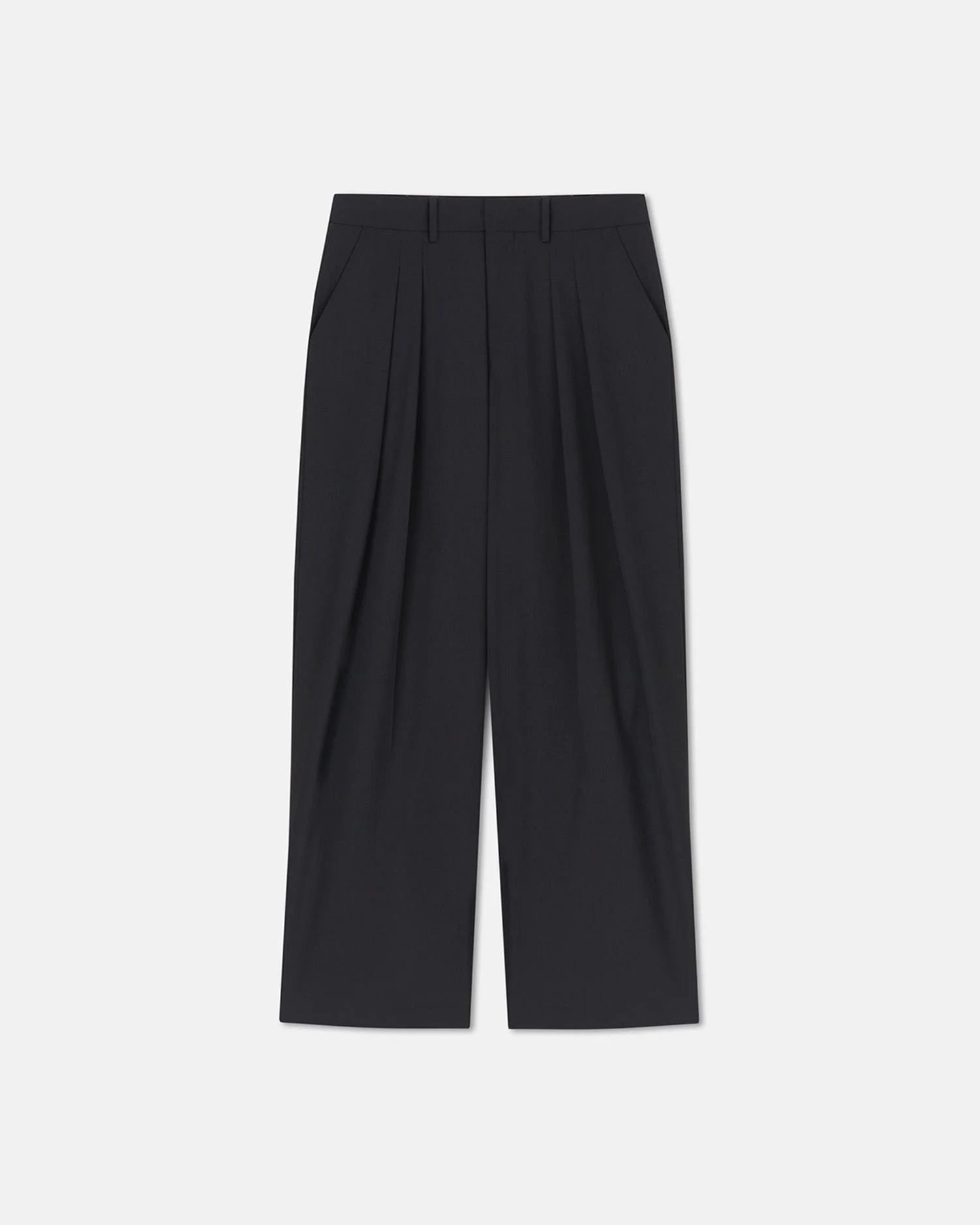Pleated Wide-Leg Pants - 1