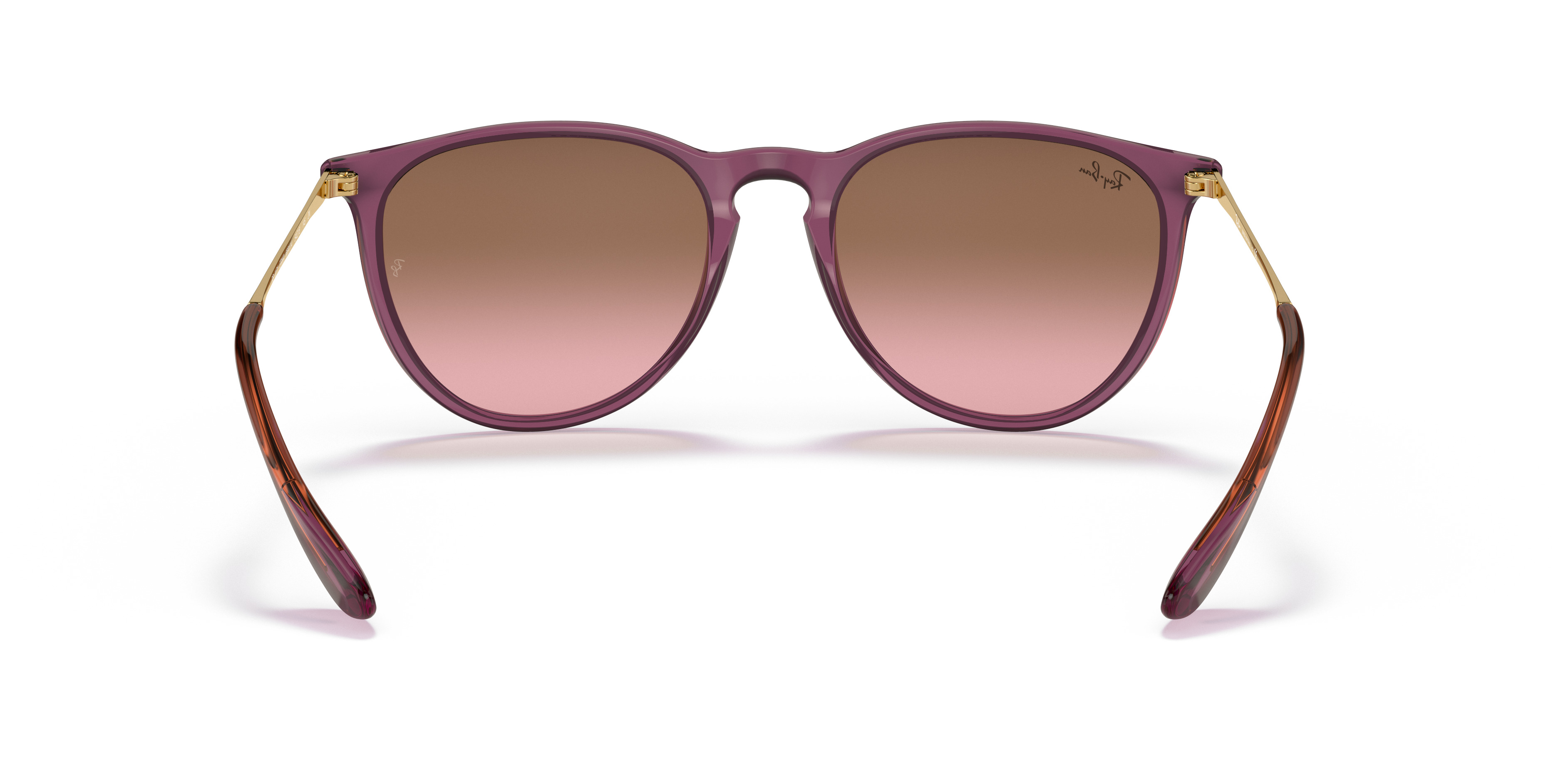 RB4171 Erika Classic - 4