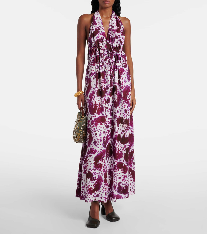 Dries Van Noten Printed maxi dress outlook