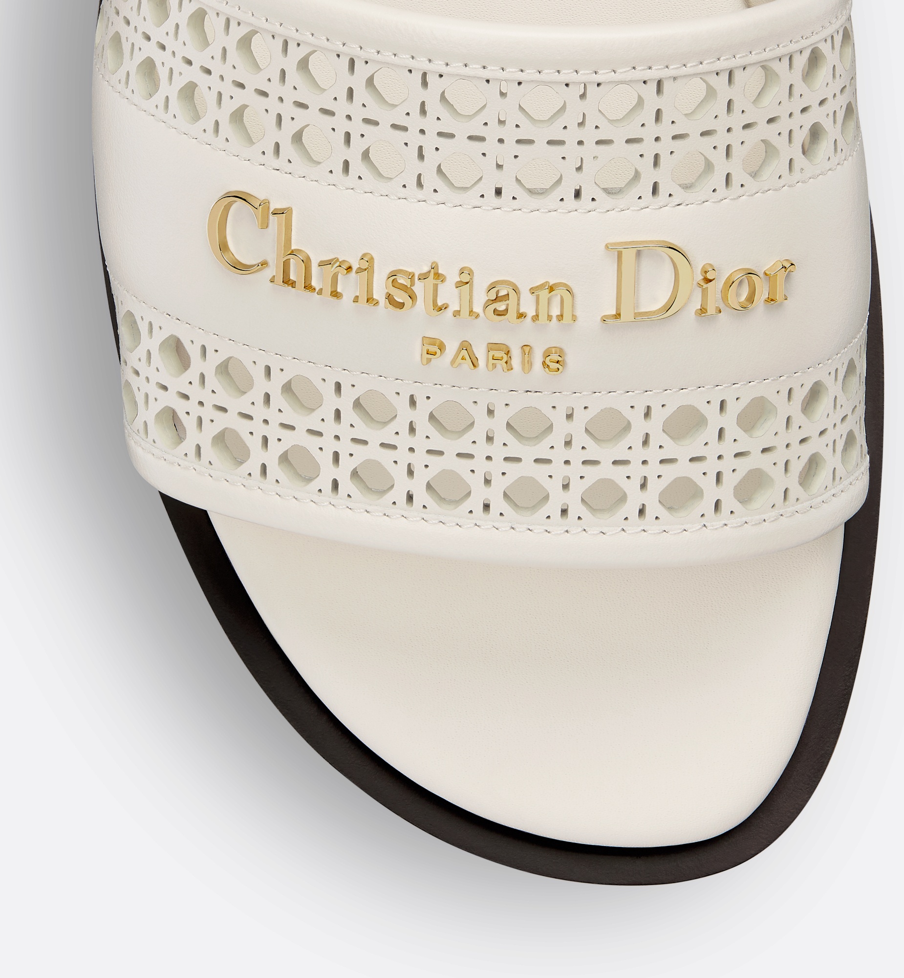 Dior D-Lane Slide | REVERSIBLE