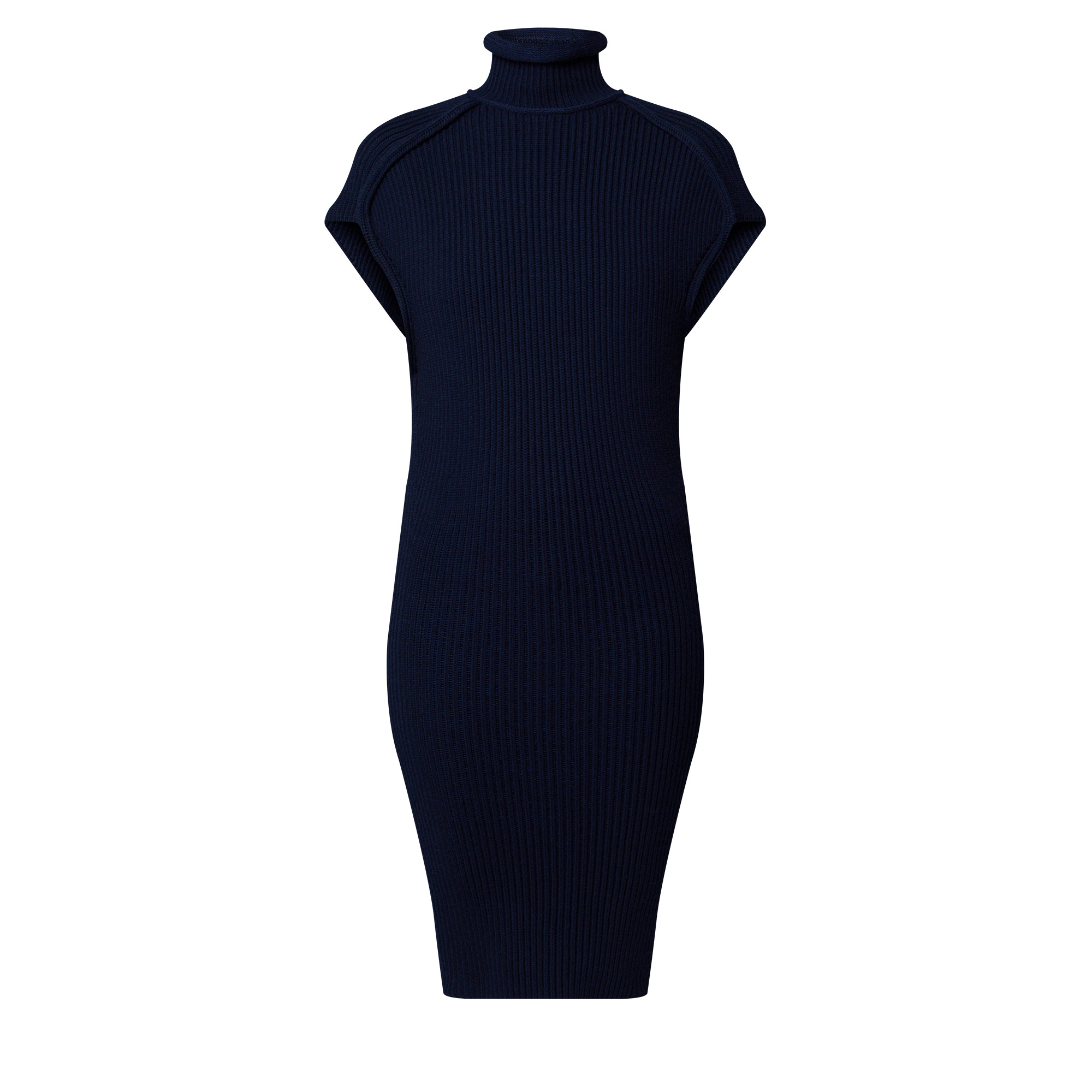 Roll Neck Ribbed Knit Dress - 1