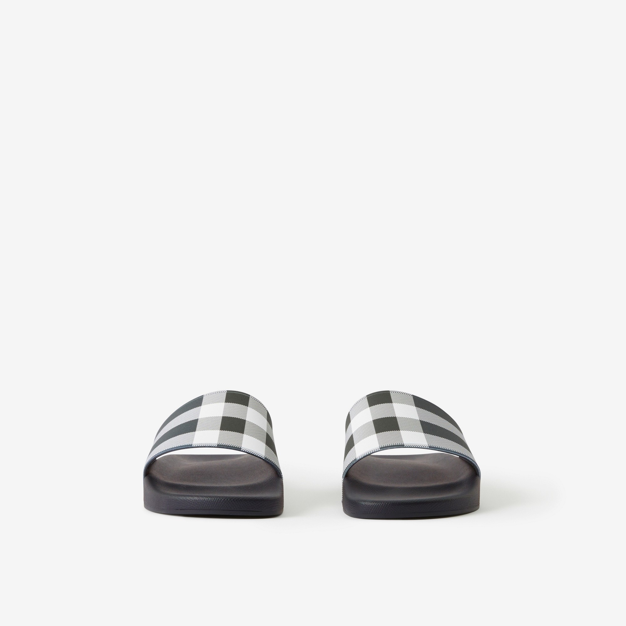 Check Print Slides - 2