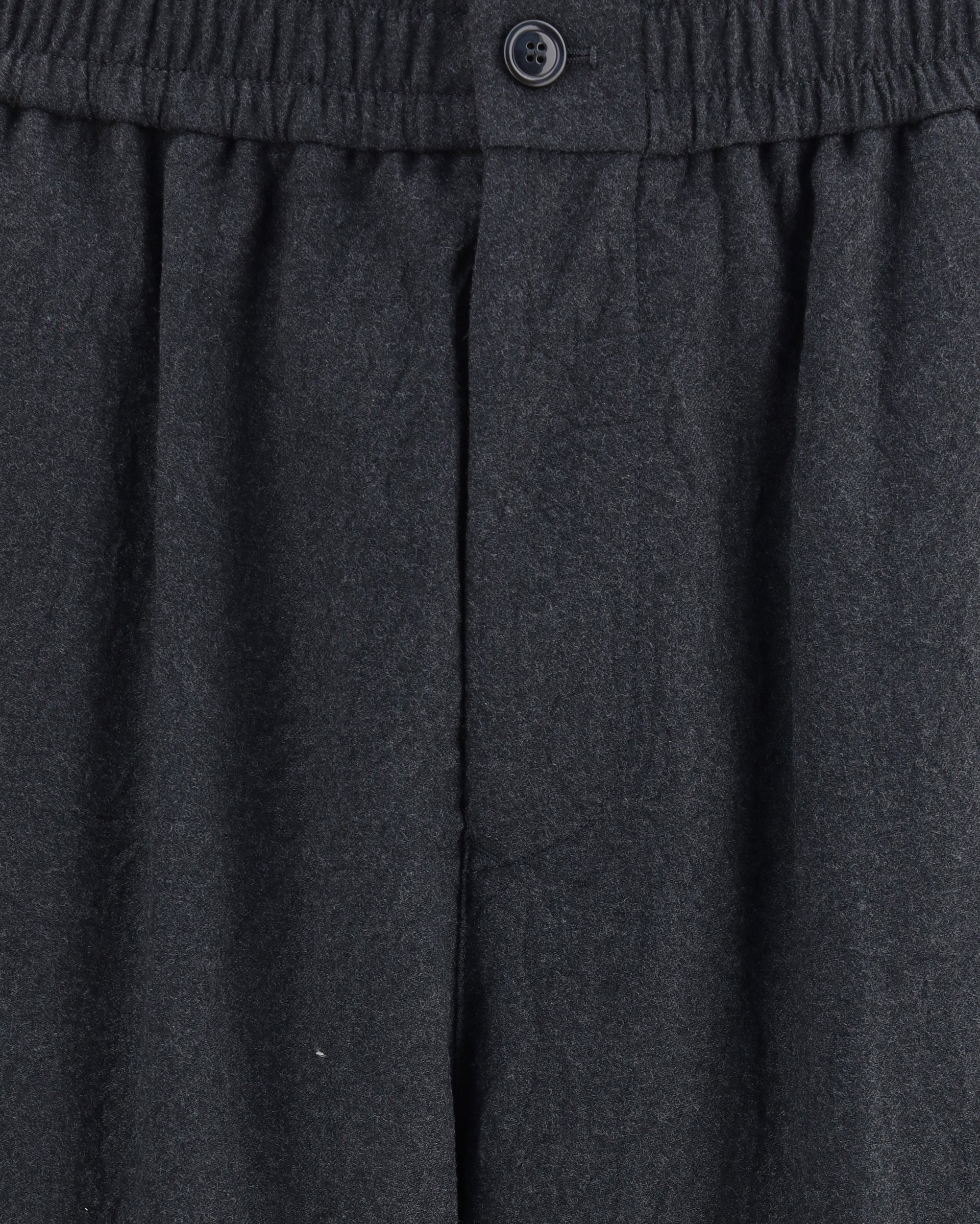 Virgin Wool Flannel Pants - 3